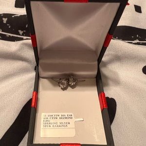 Sterling Silver earrings